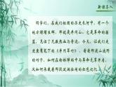 人教部编版初中语文七年级下册 《18.井岗翠竹》课件+教案