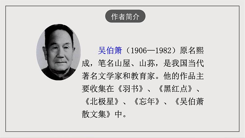 人教部编版（五四制）语文八下第4课《灯笼》课件第7页