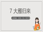 人教部编版（五四制）语文八下第7课《大雁归来》课件