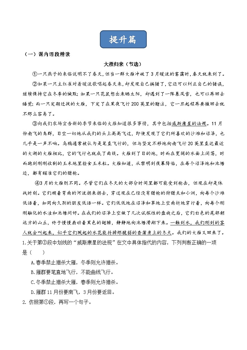 人教部编版（五四制）语文八下 第7课 《大雁归来》分层练习（ 原卷版）第2页