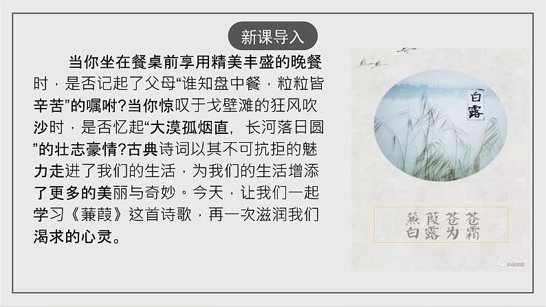人教部编版（五四制）语文八下第12课 《诗经》二首 蒹葭》 课件第2页
