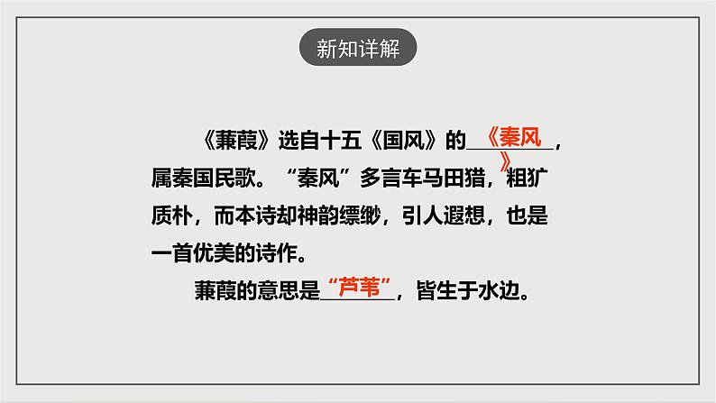 人教部编版（五四制）语文八下第12课 《诗经》二首 蒹葭》 课件第4页