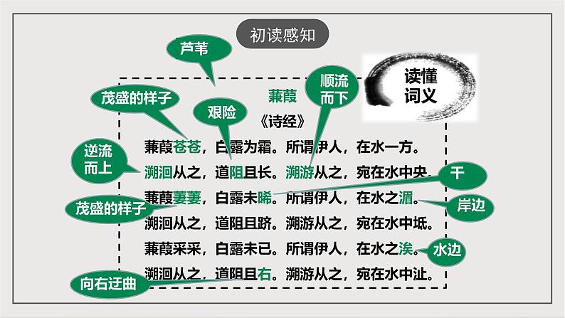 人教部编版（五四制）语文八下第12课 《诗经》二首 蒹葭》 课件第5页