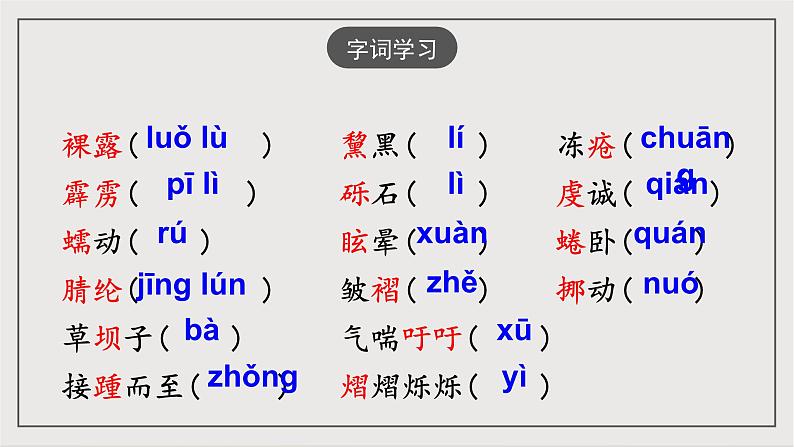 人教部编版（五四制）语文八下第18课《 在长江源头各拉丹冬》课件第7页
