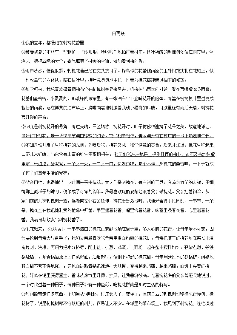 2024-2025学年浙江省杭州市文澜中学七年级（上）期末语文试卷（含详细答案解析）第3页