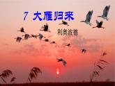 【任务型教学】统编语文八下7《大雁归来》 课件+教案+导学案（师生版）+同步测试（含答案）