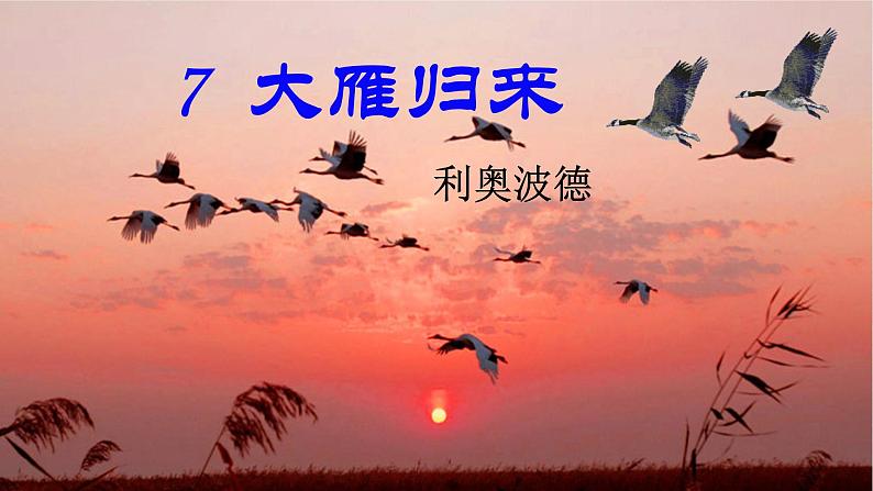 7《大雁归来》【2022新课标】课件第3页