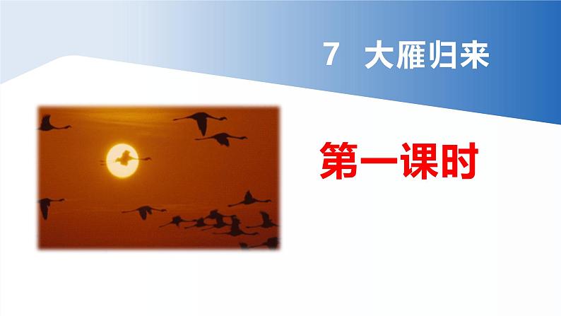 7《大雁归来》【2022新课标】课件第5页
