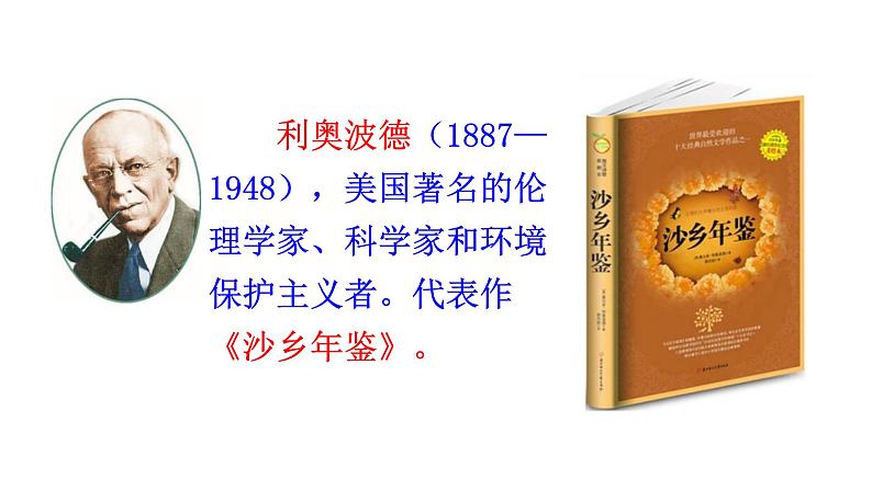 7《大雁归来》【2022新课标】课件第8页