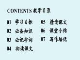 部編版語(yǔ)文七年級(jí)下冊(cè)3《列夫·托爾斯泰》課件