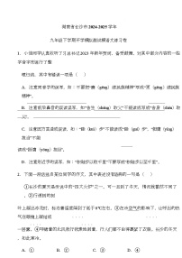 湖南省长沙市2024-2025学年九年级下学期开学适应性模拟测试 语文练习卷（含解析）