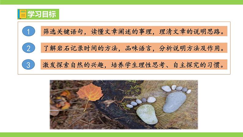 8《 时间的脚印》【2022新课标】课件第4页