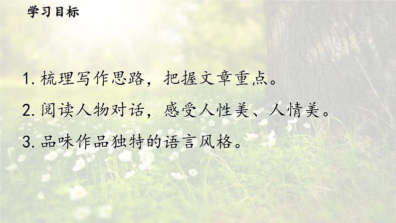 11《山地回忆》课时1第4页