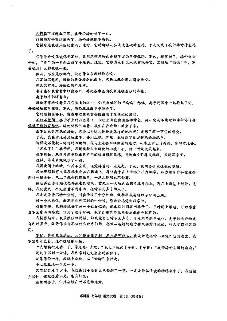 浙江省宁波市鄞州区2024—2025学年七年级上学期期末考试语文试题第3页