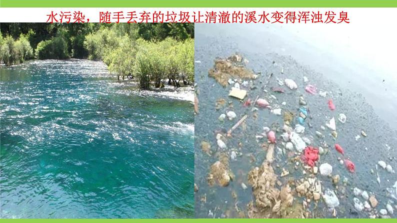 八下第二单元综合性学习《倡导低碳生活》【2022新课标】课件第7页