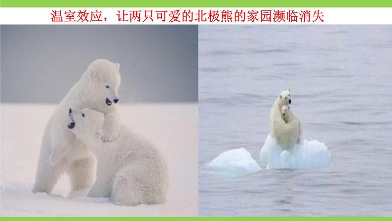 八下第二单元综合性学习《倡导低碳生活》【2022新课标】课件第8页