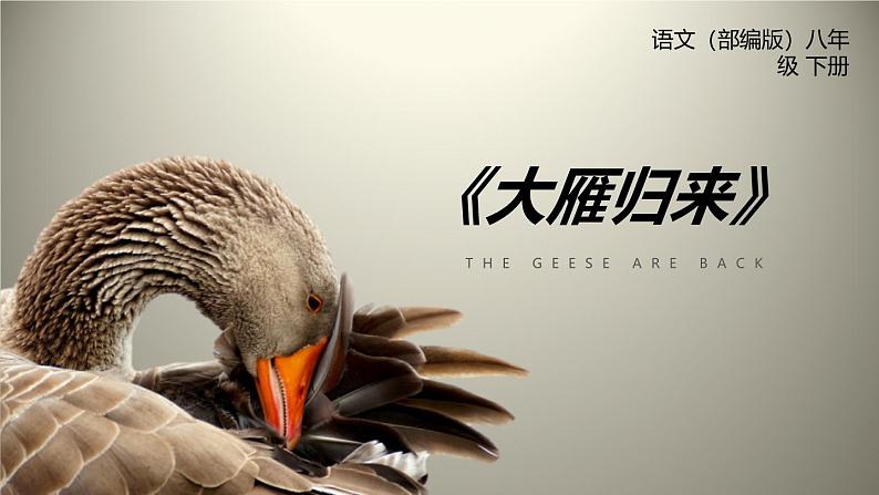 部编版八年级语文下册第二单元第7课《大雁归来》同步课件第1页