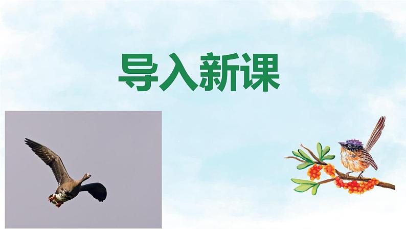 部编版八年级语文下册第二单元第7课《大雁归来》同步课件第2页