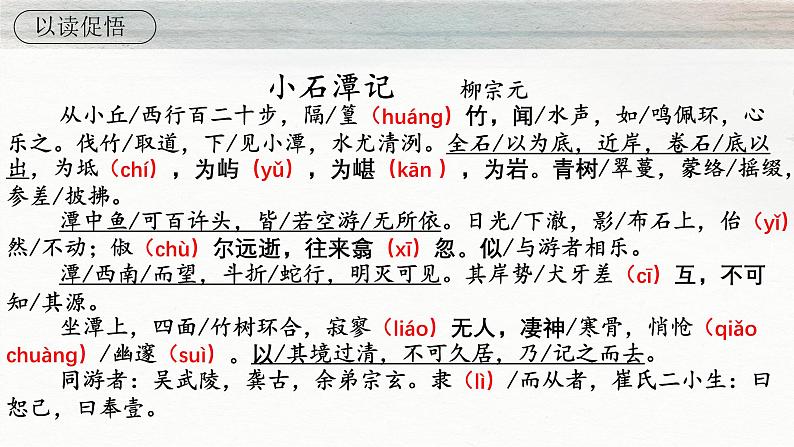 第10课《小石潭记》课件2024—2025学年统编版语文八年级下册第3页