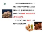 第11课《核舟记》课件2024—2025学年统编版语文八年级下册