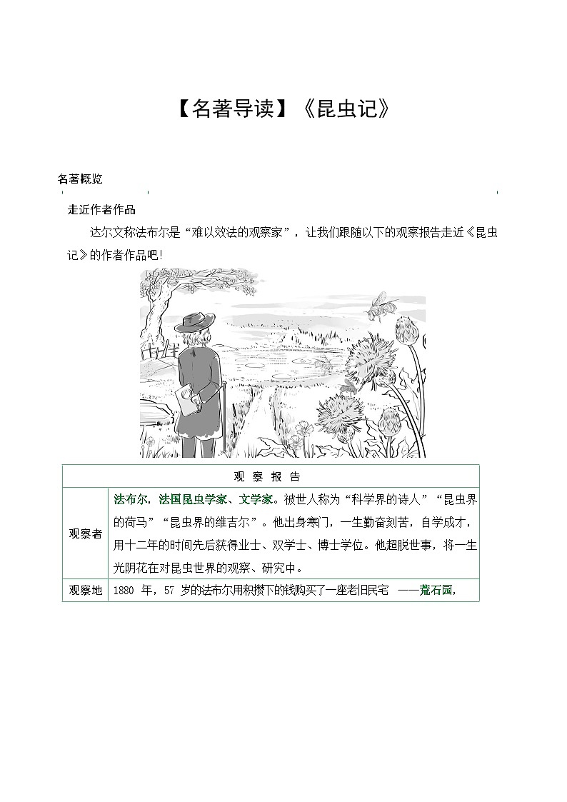 八年级上册语文《昆虫记》导读学案第1页