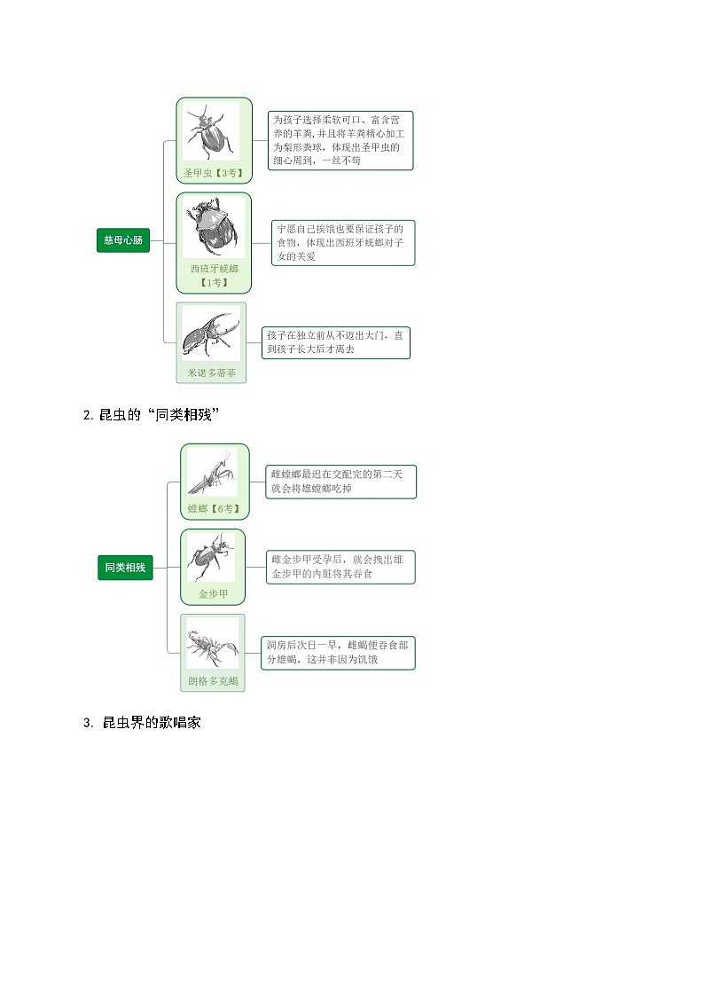 八年级上册语文《昆虫记》导读学案第3页