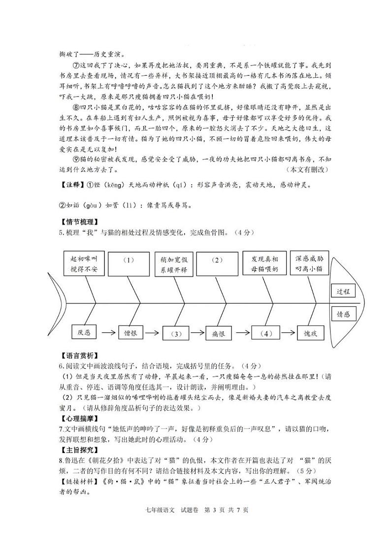浙江省杭州市钱塘区2024-2025学年七年级上学期期末考试语文试卷第3页