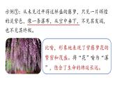 部編版語文七年級下冊19《紫藤蘿瀑布》（課件+朗讀）