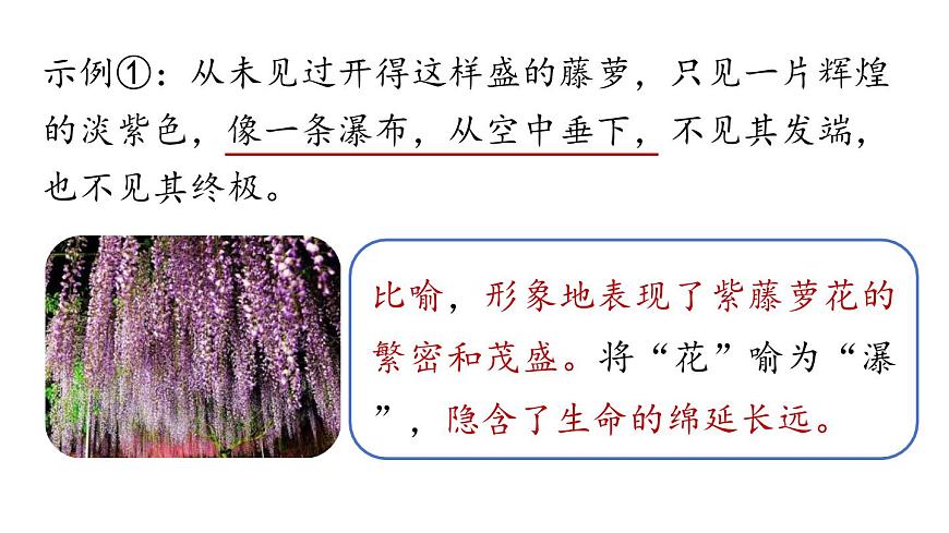 19《紫藤萝瀑布》课时2第5页