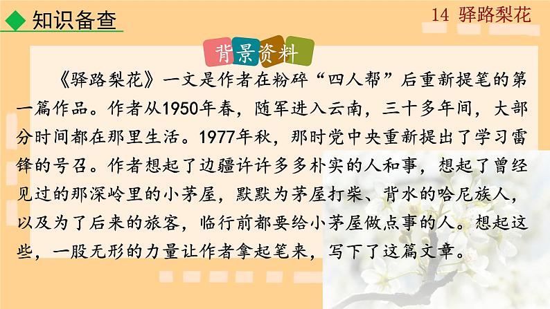 第14 课《 驿路梨花  》课件人教部编版（2024）语文七年级下册第3页