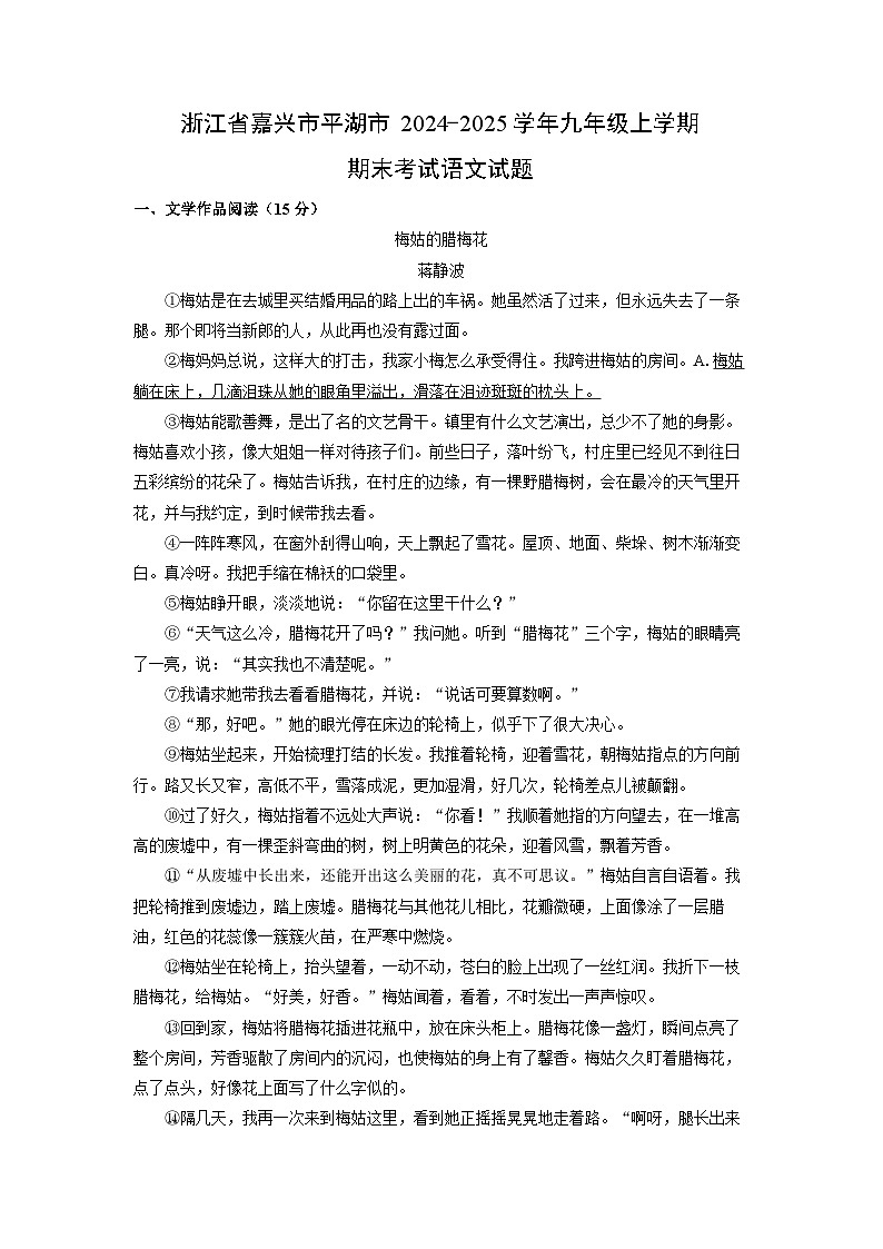 2024-2025学年浙江省嘉兴市平湖市九年级上学期期末考试语文试卷（解析版）第1页