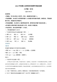 四川省宜宾市2024-2025学年九年级上学期期末语文试题（解析版）