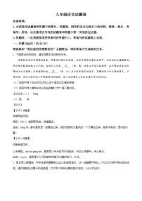 河南省三门峡市2024-2025学年九年级上学期期末语文试题（解析版）