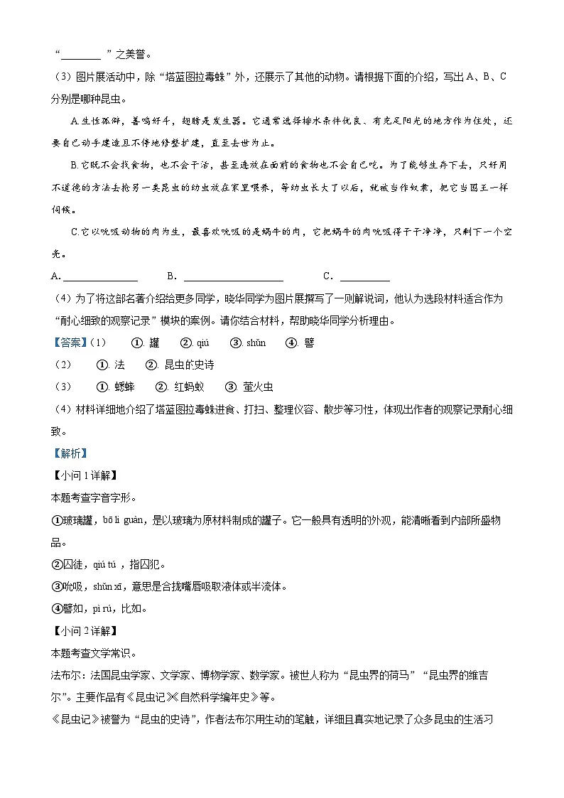 安徽省淮北市部分学校2024-2025学年八年级上学期期末语文试题（解析版）第2页