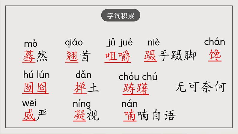 人教部编版（五四制）语文九下第19课《枣儿》课件第5页