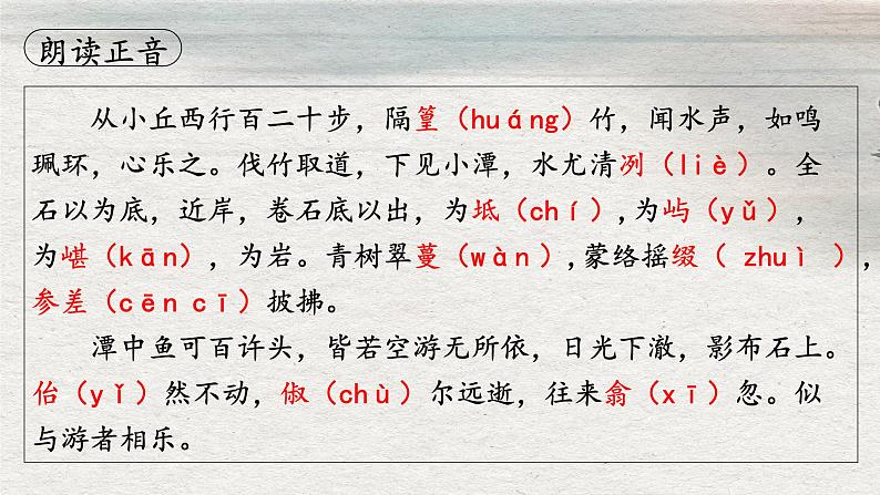 八下10《小石潭记》课件-2025年中考语文一轮复习文言文专题（全国通用）第6页