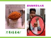 【任务型教学】统编语文八下11《 核舟记》 课件+教案+导学案（师生版）+同步测试（含答案）