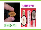 【任务型教学】统编语文八下11《 核舟记》 课件+教案+导学案（师生版）+同步测试（含答案）