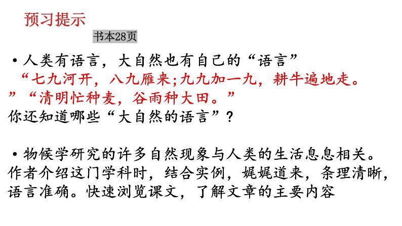 统编版语文八年级下册第5课《大自然的语言》课件第5页