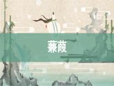 统编版语文八年级下册第12课《蒹葭》课件