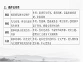 2025年中考语文专题复习《文学作品阅读》课件
