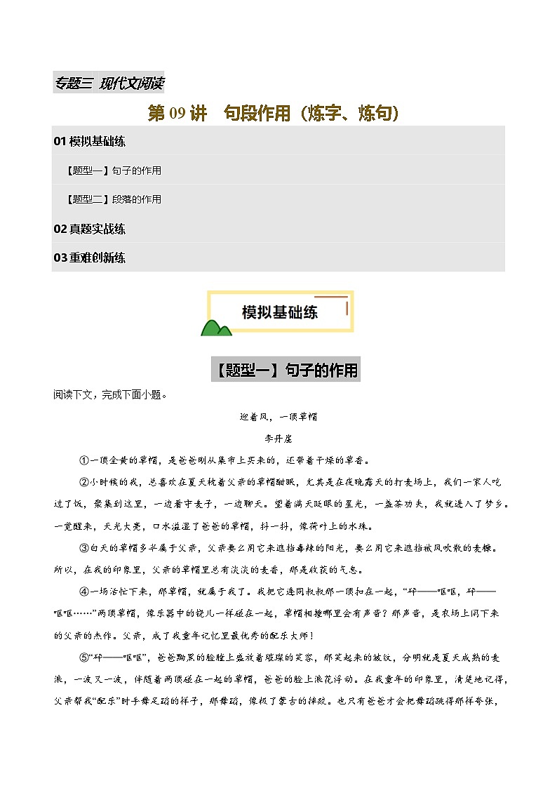 2025年中考语文一轮复习现代文阅读 第09讲 句段作用（练习）（原卷版）第1页
