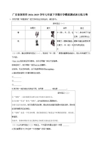 广东省深圳市2024-2025学年七年级下学期开学模拟测试 语文练习卷（含解析）