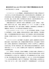 湖北省武汉市2024-2025学年九年级下学期开学适应性模拟测试 语文练习卷 (1)（含解析）