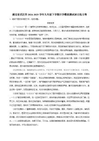 湖北省武汉市2024-2025学年九年级下学期开学适应性模拟测试 语文练习卷 (2)（含解析）