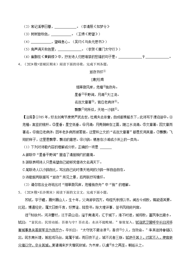 湖南省长沙市2024-2025学年八年级下学期开学模拟测试 语文练习卷（含解析）第3页
