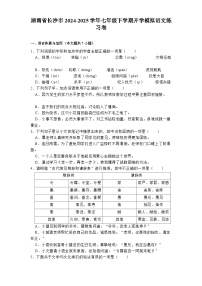 湖南省长沙市2024-2025学年七年级下学期开学模拟 语文练习卷（含解析）