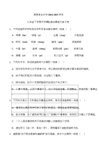 湖南省长沙市2024-2025学年七年级下学期开学适应性模拟测试 语文练习卷（含解析）