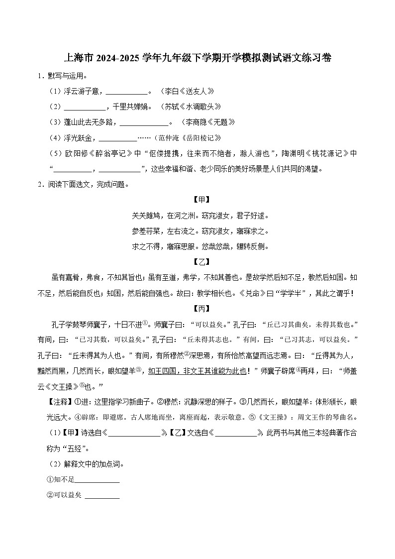 上海市2024-2025学年九年级下学期开学适应性模拟测试 语文练习卷（含解析）第1页