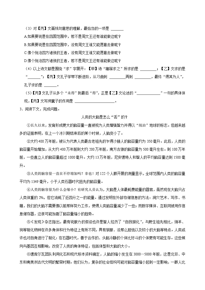 上海市2024-2025学年九年级下学期开学适应性模拟测试 语文练习卷（含解析）第2页